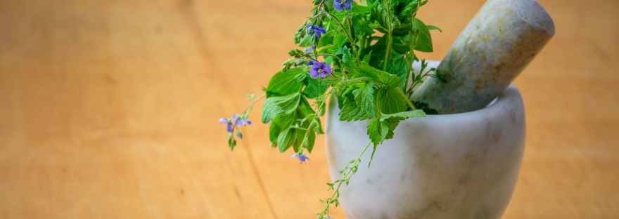 purple petaled flowers in mortar and pestle
